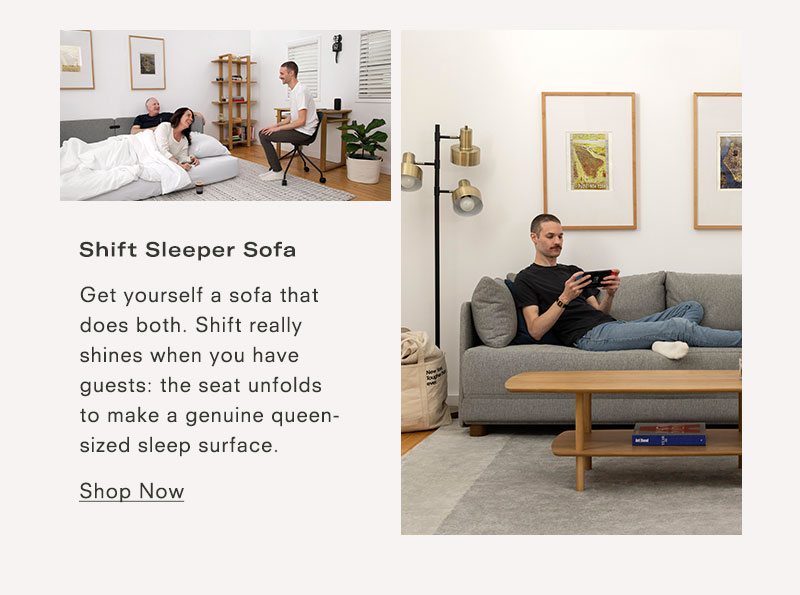 Shift Sleeper Sofa