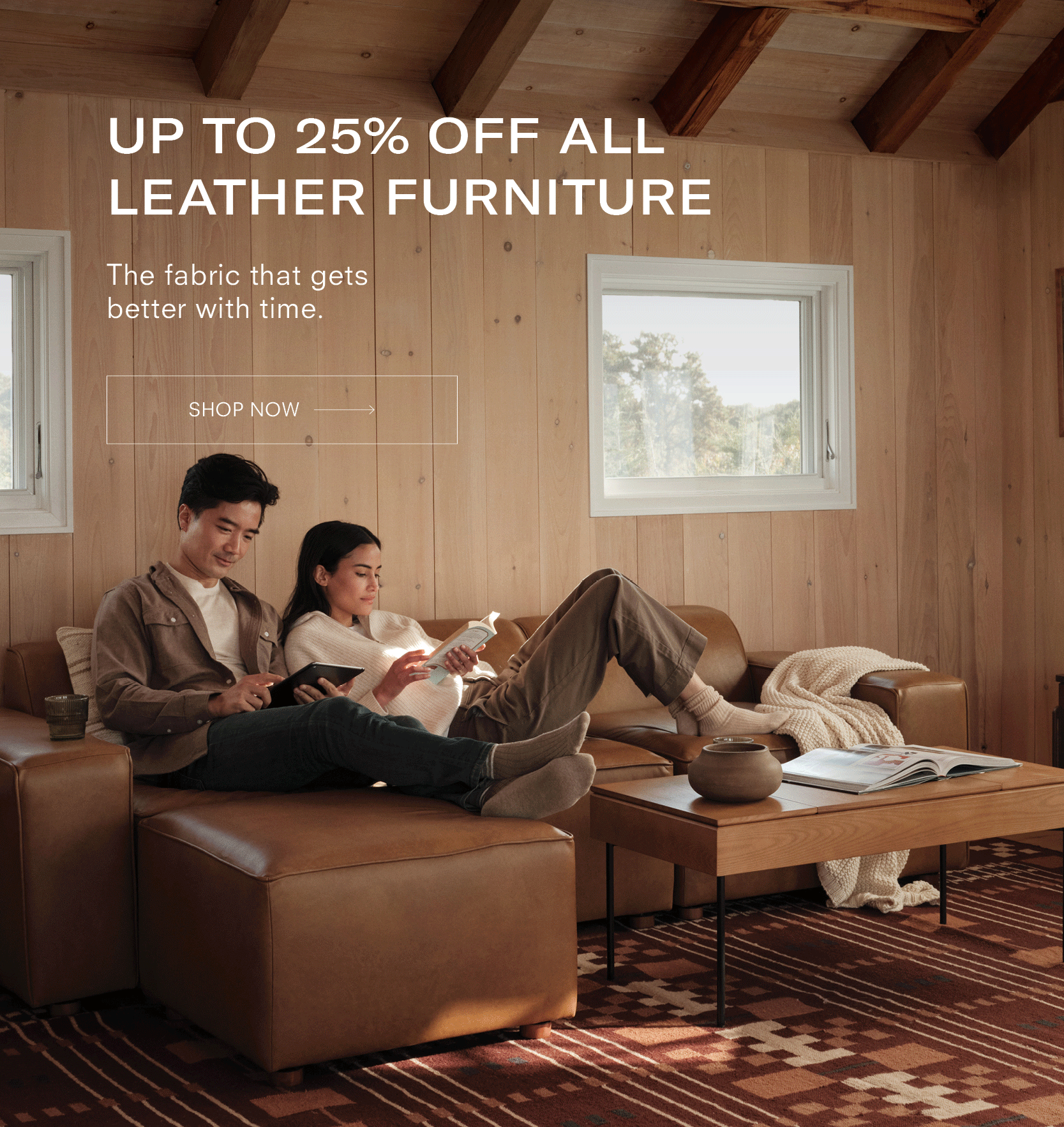 Leather Furniture