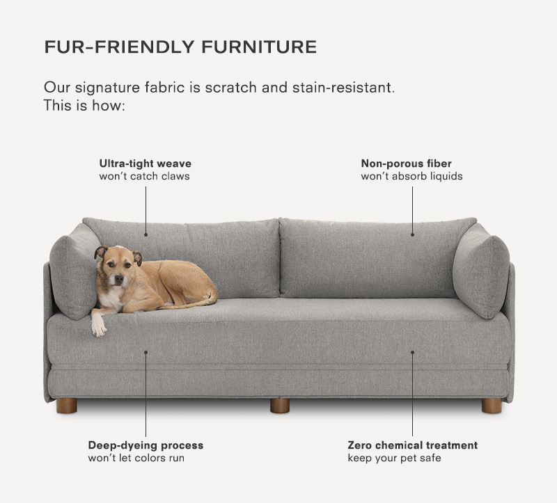 Pet Friendly Furniture