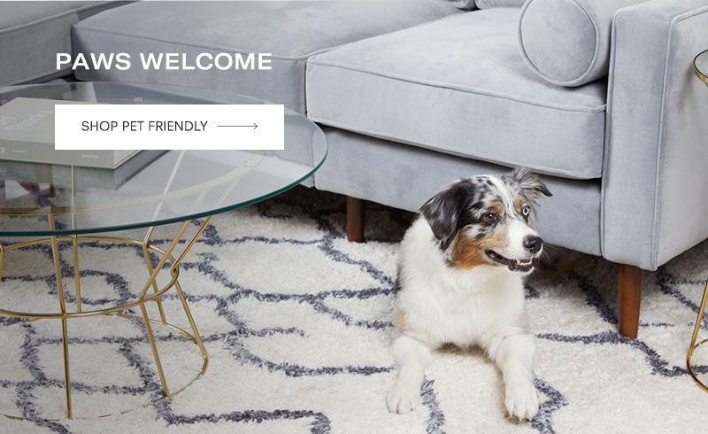 Paws Welcome, Shop Pet Friendly