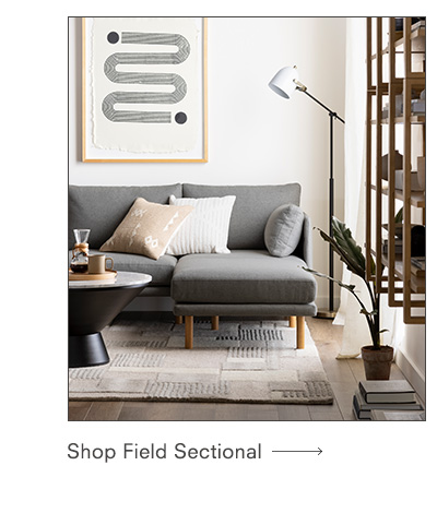 Field Sectional