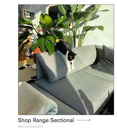 Range Sectional