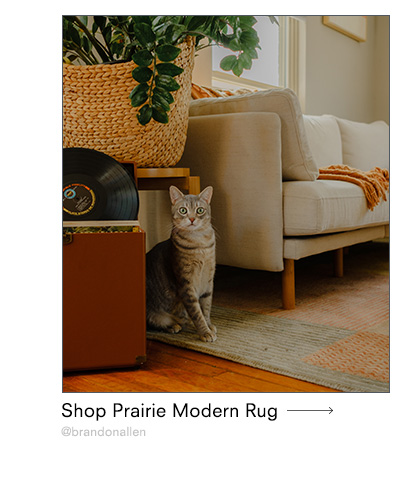 Prairie Modern rug